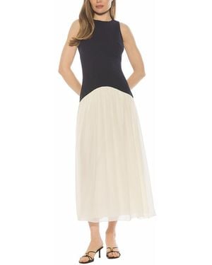 Alexia Admor Dorian A-Line Dress - Natural