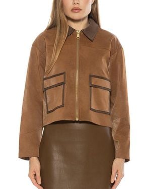Alexia Admor Sorell Jacket - Brown