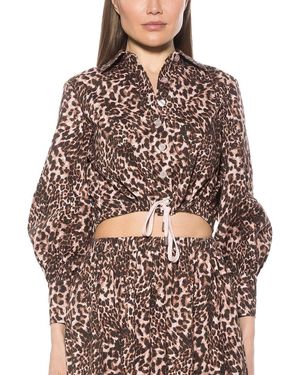 Alexia Admor Gianna Shirt - Brown