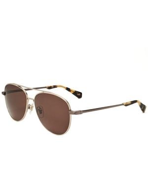 Sandro 55Mm Sunglasses - Brown