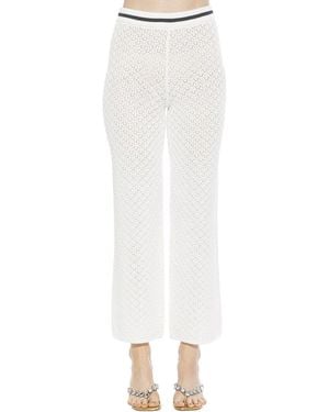 Alexia Admor Kora Knit Pants - White