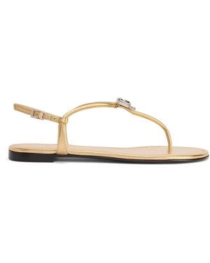 Giuseppe Zanotti Maeeve Flat - Brown