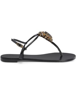 Giuseppe Zanotti Odam - Marrone