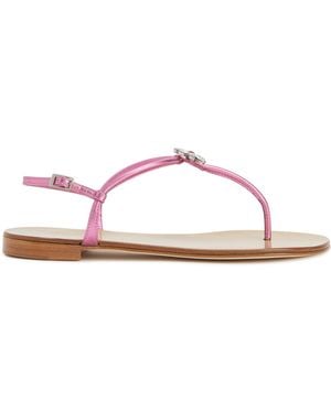 Giuseppe Zanotti Geltrude - Pink