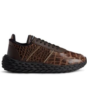 Giuseppe Zanotti Urchin - Brown
