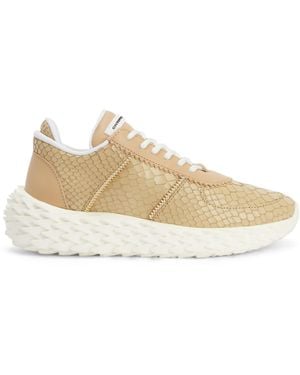 Giuseppe Zanotti URCHIN - Neutro