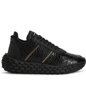 Giuseppe Zanotti Urchin - Black