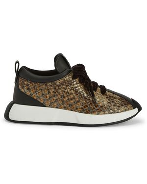 Giuseppe Zanotti Ferox - Brown