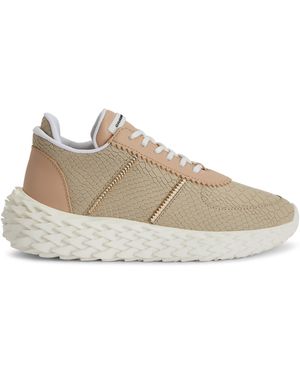 Giuseppe Zanotti URCHIN - Neutro