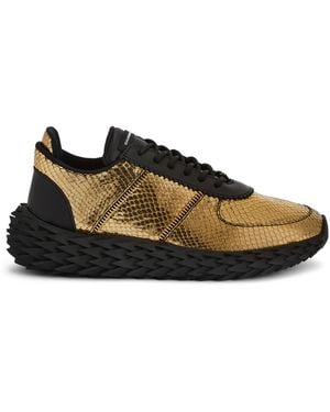 Giuseppe Zanotti Urchin - Brown