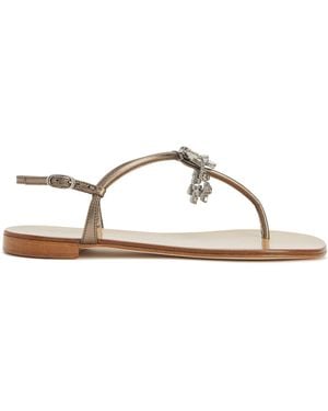 Giuseppe Zanotti Glenda Flat - Brown