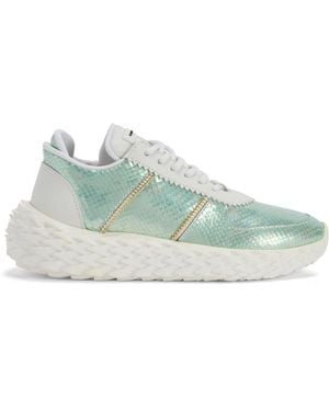 Giuseppe Zanotti Urchin - Green