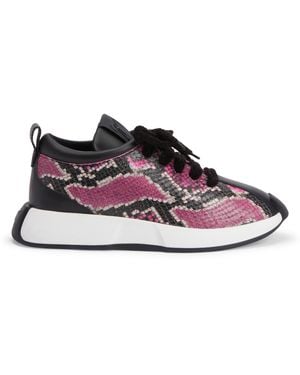 Giuseppe Zanotti Ferox - Pink