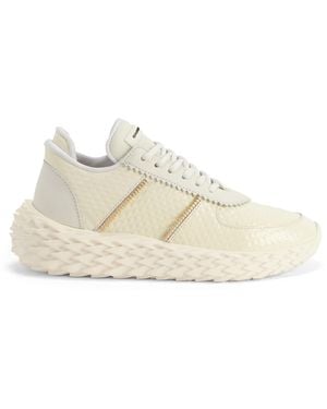 Giuseppe Zanotti Urchin - Natural