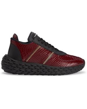 Giuseppe Zanotti Urchin - Brown