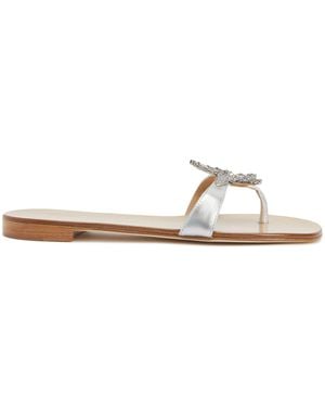 Giuseppe Zanotti Eligia - Natural