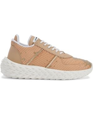 Giuseppe Zanotti URCHIN - Neutro
