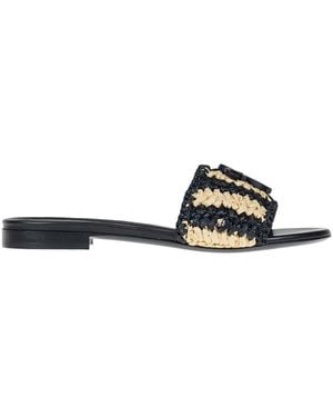 Roberto Festa Blejan Slides - Black