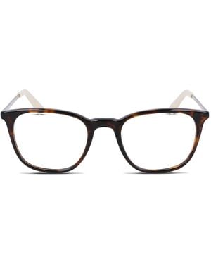 Dragon Dr2029 - Black