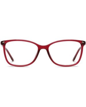 Amelia E. Nettle - Black