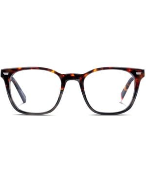 Superdry Sdo-3065 Tortoise - Black