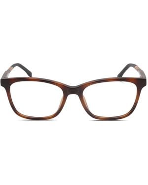 Lacoste L3648 Kids - Black