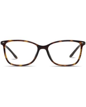 Amelia E. Nettle - Black