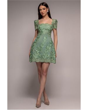 Goddiva Scallop Edge Corset Back Structured Lace Mini Dress - Green