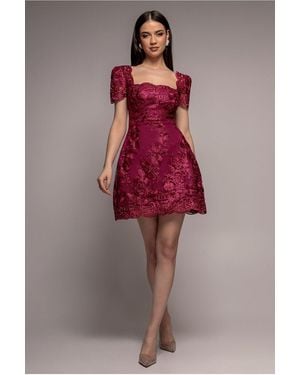 Goddiva Scallop Edge Corset Back Structured Lace Mini Dress