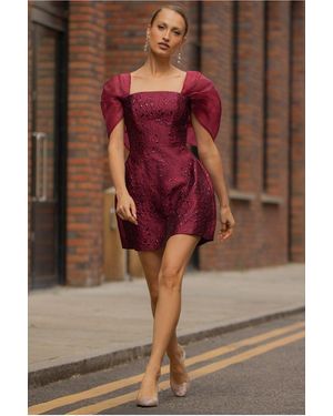 Goddiva Lace Up Jacquard Mini Dress With Organza Wings - Brown