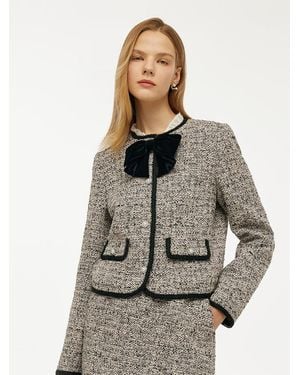 GOELIA Tweed Crop Jacket With Detachable Bowknot - Gray