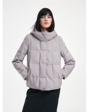 GOELIA [Preview] Hooded Goose Down Cropped Jacket - Gray