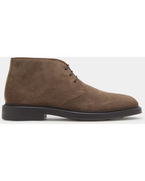Gutteridge Polacchini - Marrone