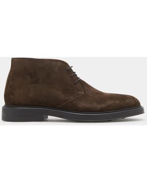 Gutteridge Polacchini - Marrone