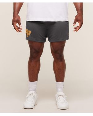 GYMSHARK Lifting Barbell Mesh 5" Shorts - Grey