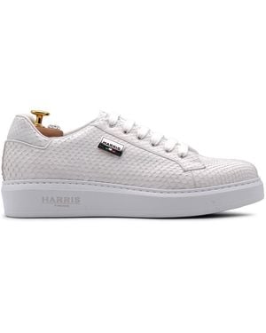 Harris Shoes 1913 Python Sneakers - White