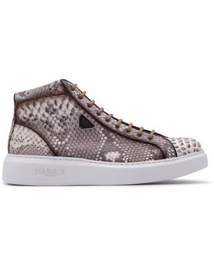 Harris Shoes 1913 Python Ankle Boot And Box Sole - Gray
