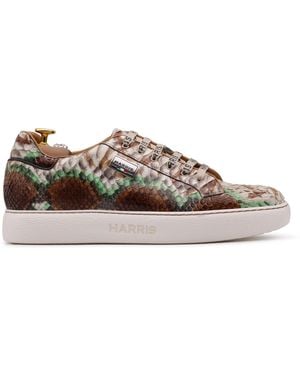 Harris Shoes 1913 Python Sneakers - Black