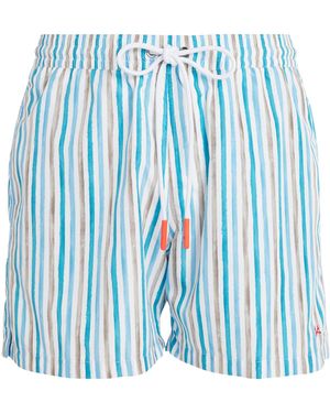 Isaia Stripe Print Swim Shorts - Blue