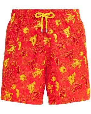 Vilebrequin Aquatic Life-Embroidered Mistral Swim Shorts