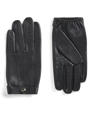 Dents Leather Touchscreen Rollestone Gloves - Black