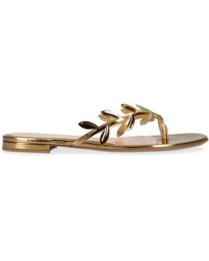 Gianvito Rossi Laurel-Detail Flavia Flip-Flops - Natural