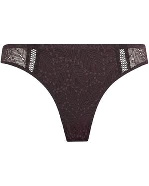 Simone Perele Lace Comète Bikini Briefs - Purple
