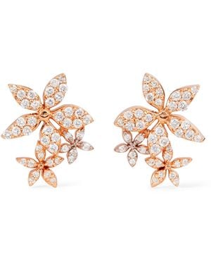 BeeGoddess And Diamond Apple Seed Stud Earrings - Metallic
