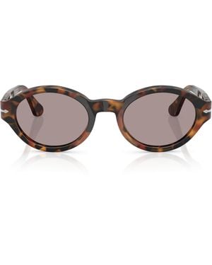 Persol Acetate Loris Oval Sunglasses - Brown