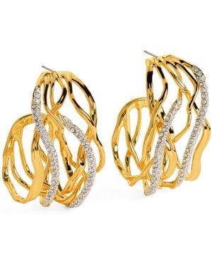 Alexis Plated Solanales Woven Earrings - Metallic