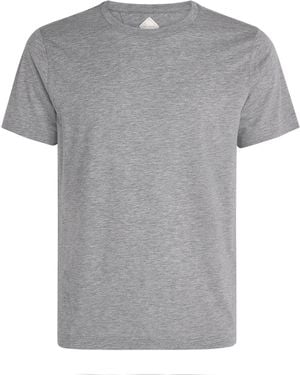 Pal Zileri Crew-Neck T-Shirt - Grey