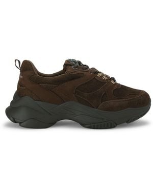 Kurt Geiger Suede Starlight Runner Sneakers - Brown