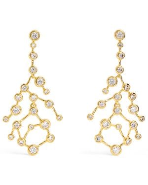 Alexis Plated Asterales Celestial Earrings - Metallic