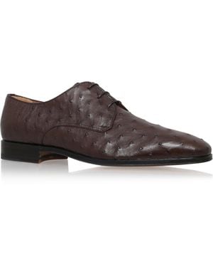 Stemar Ostrich Derby Shoes - Brown
